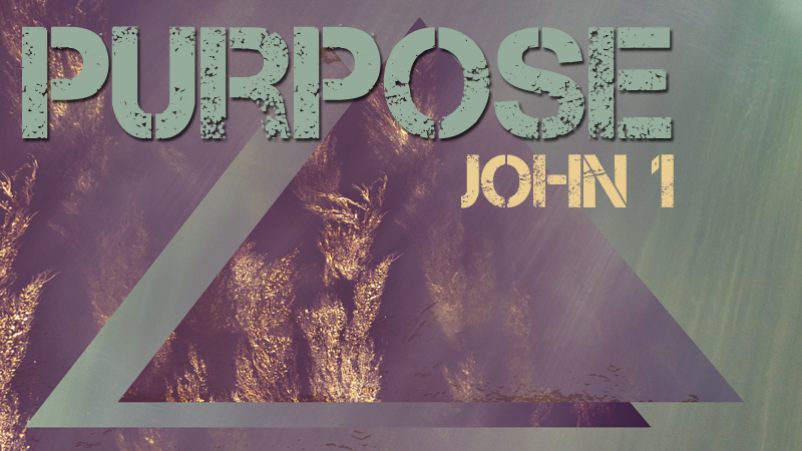 Purpose (3/5/17)
