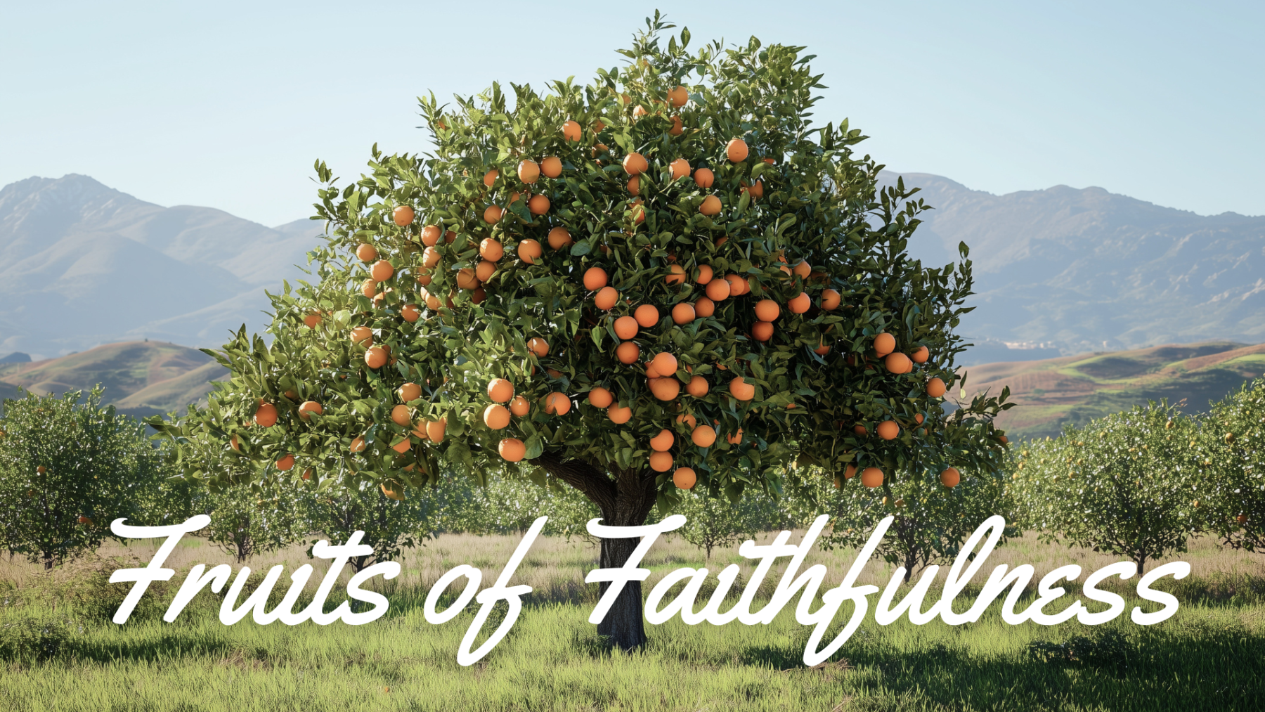 Fruits of Faithfulness - Sermon Series