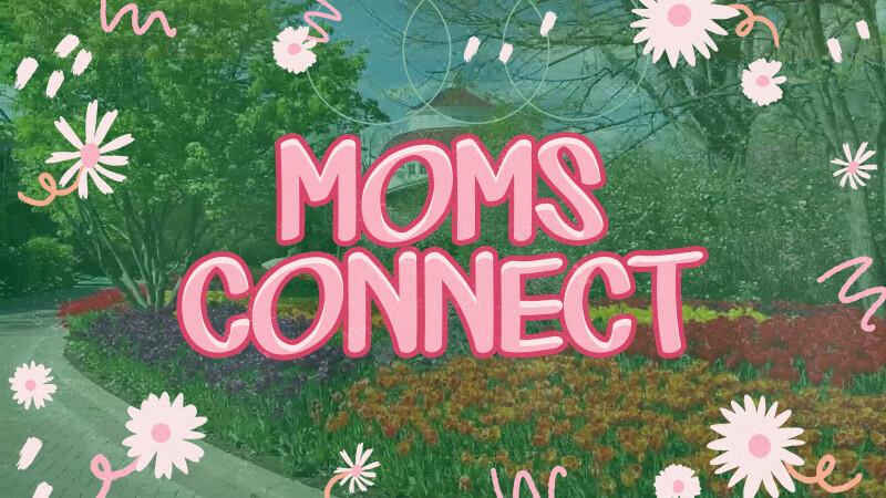 Moms Connect at the Zoo