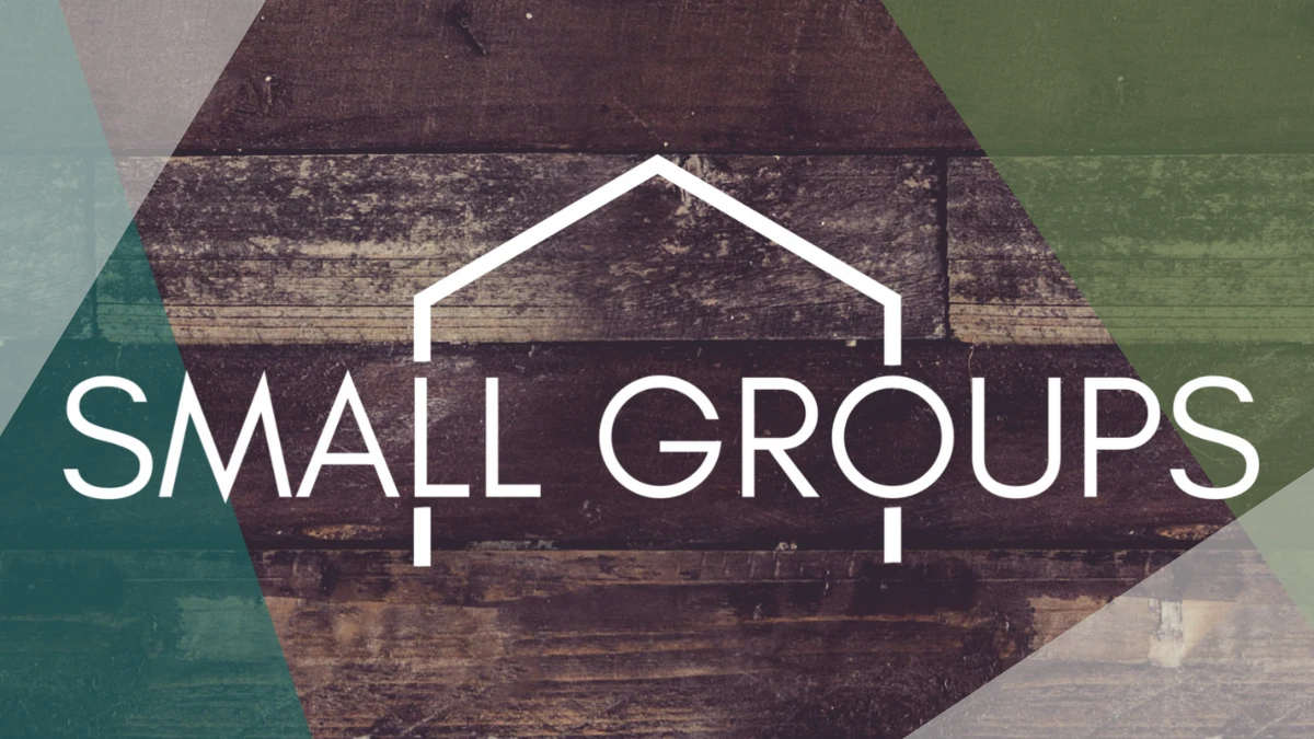 Small Group Leader's training via Zoom