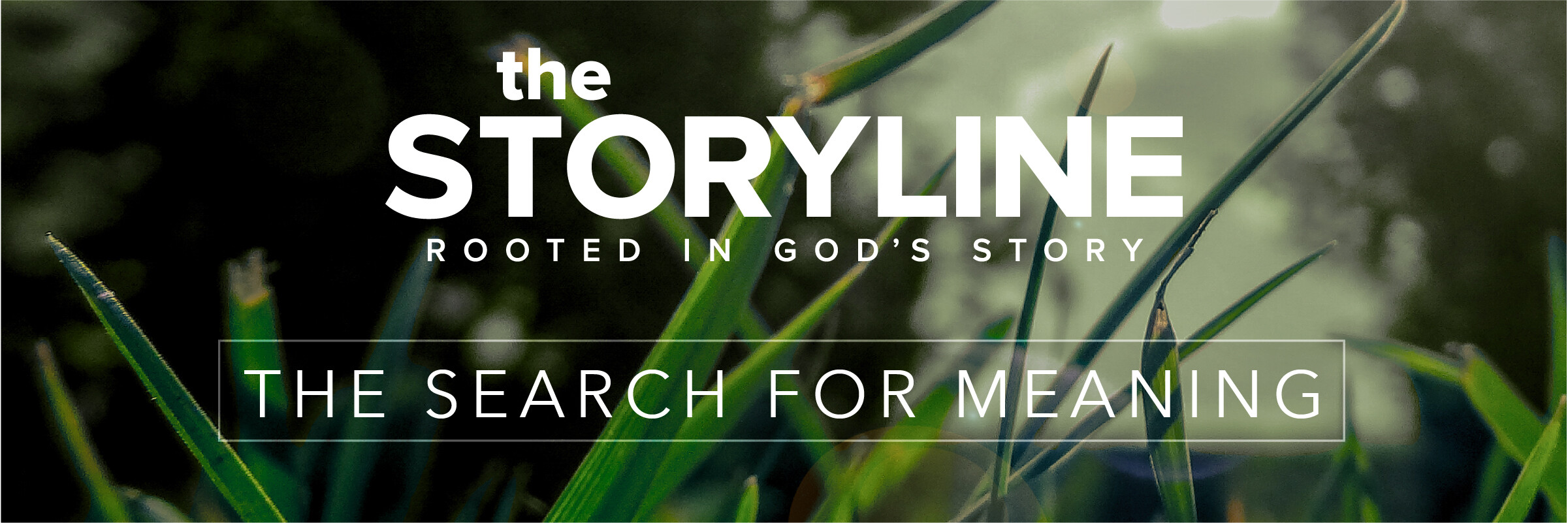 The Storyline | True Worship (Audio) episode artwork
