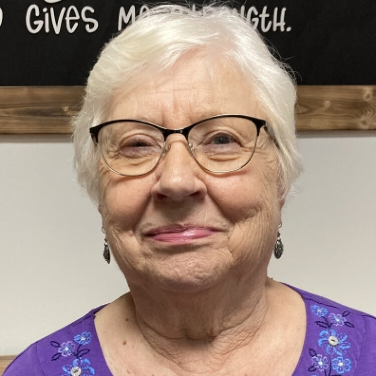 Ann Havens