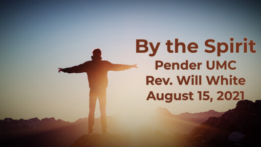 This Week at Pender, August 12, 2021