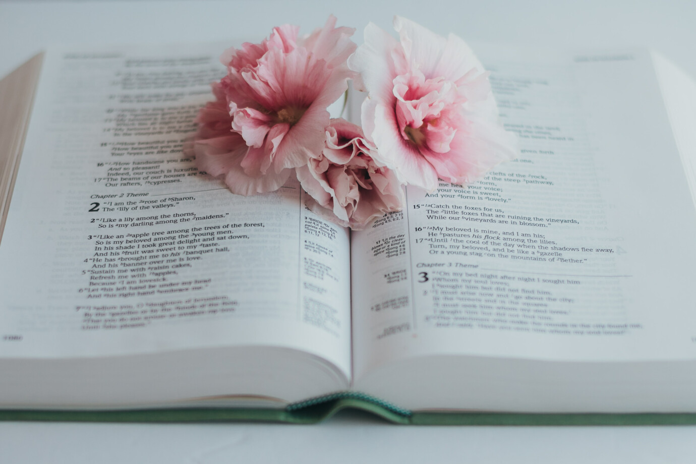 Women's Bible Study 