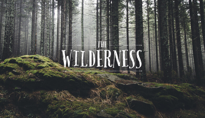 Struggling in the Wilderness - Bloomington West