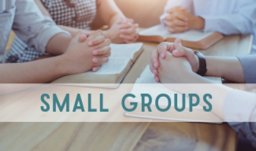 discover small groups