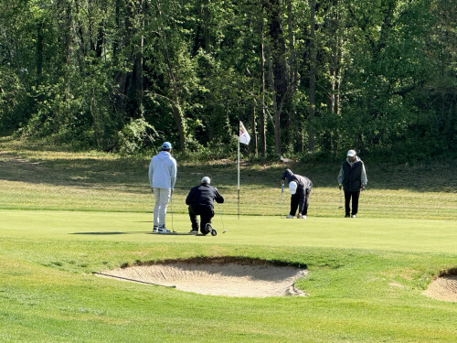 participants playing on the green