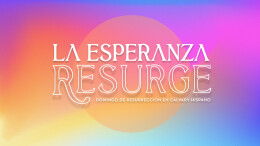 El Anuncio de Una Muerte Necesaria