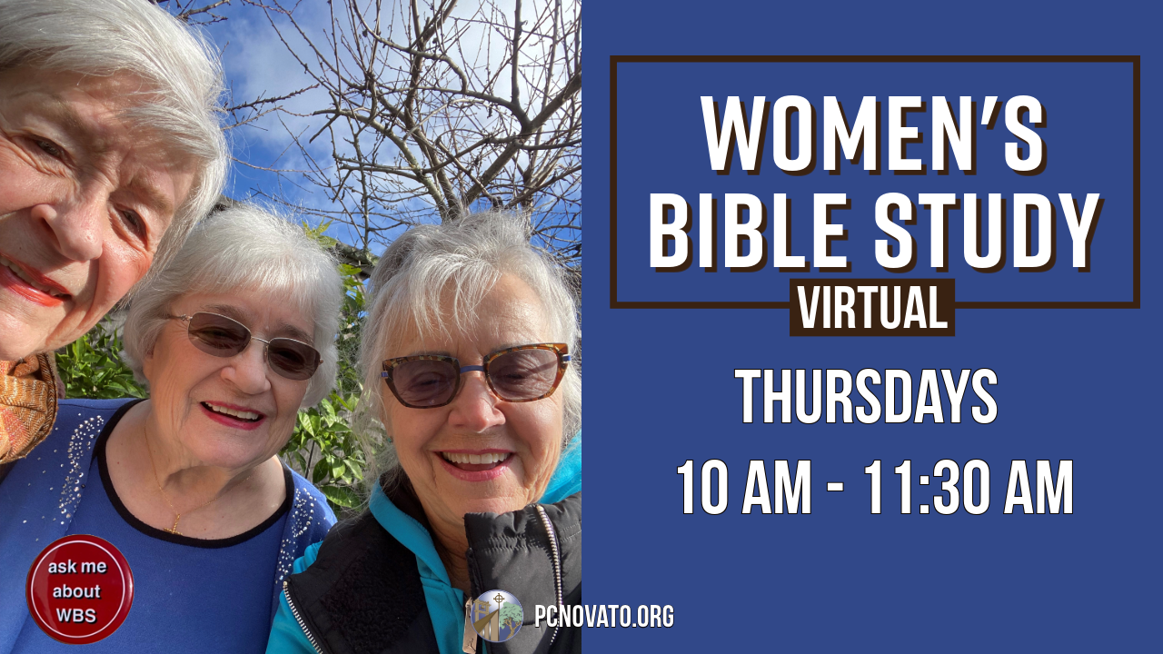 Women Bible Study (Virtual)