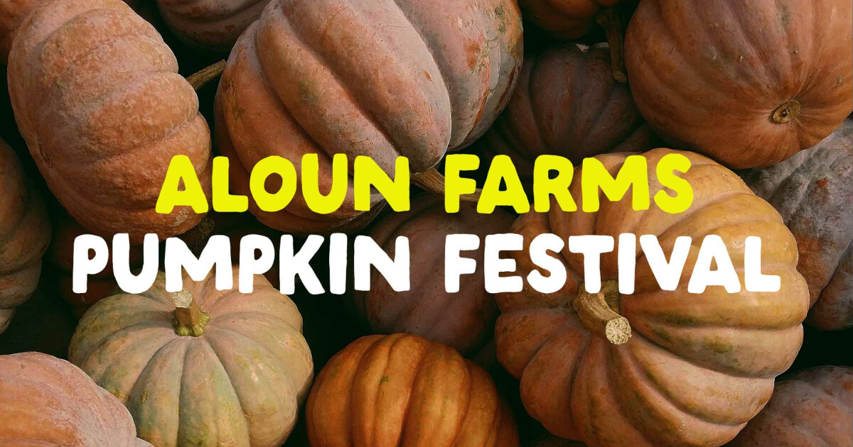 Aloun Farms Pumpkin Festival New Hope Oahu