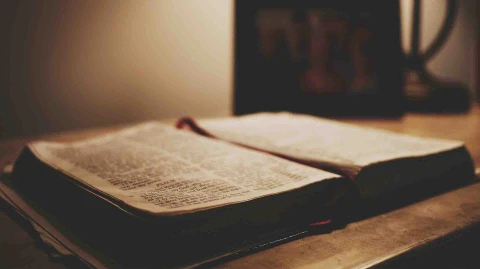 God Has Not Forgotten You