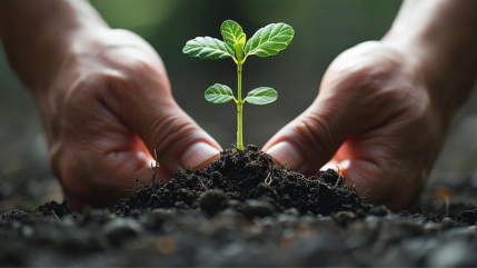 Life Groups gathering