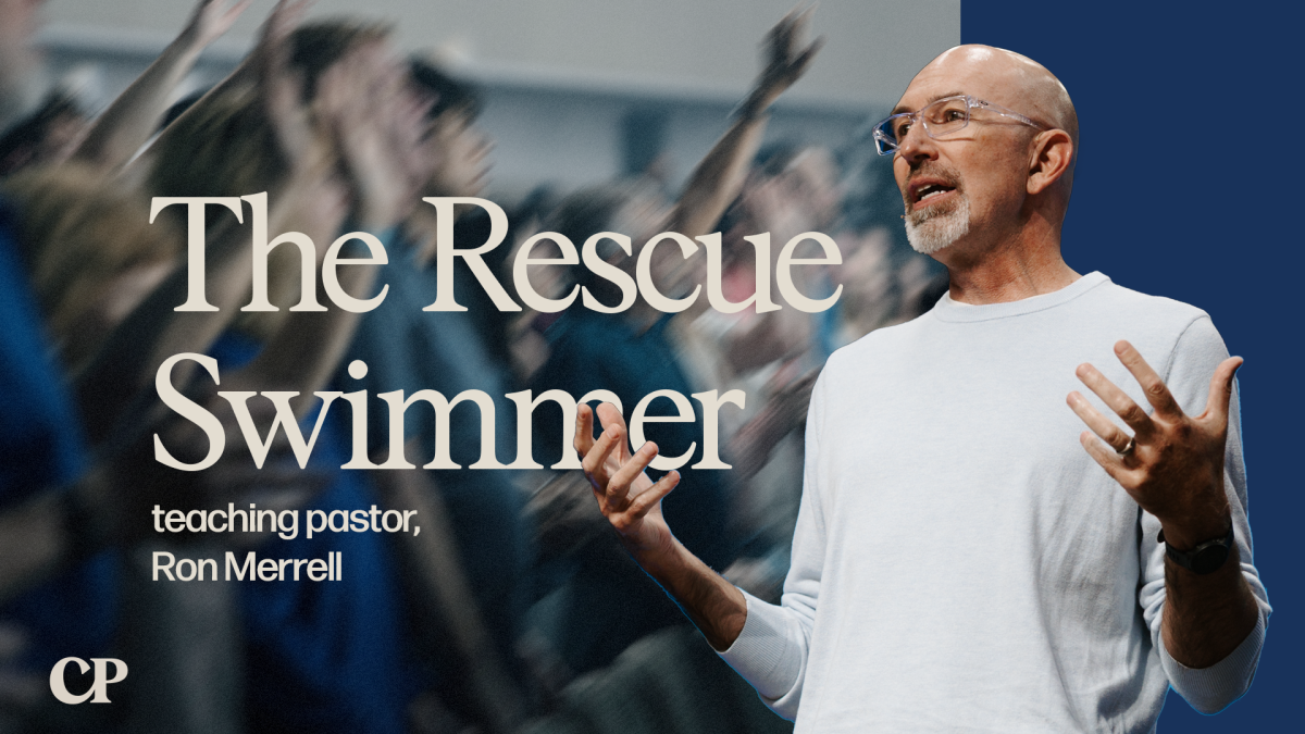 The Rescue Swimmer | Ron Merrell