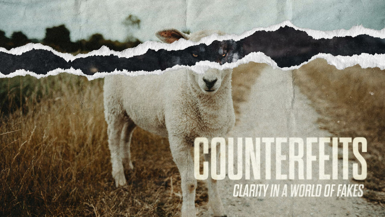 Counterfeit