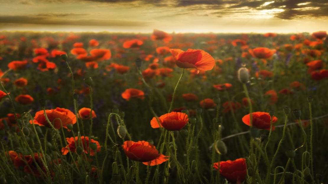Memorial Day Devotion