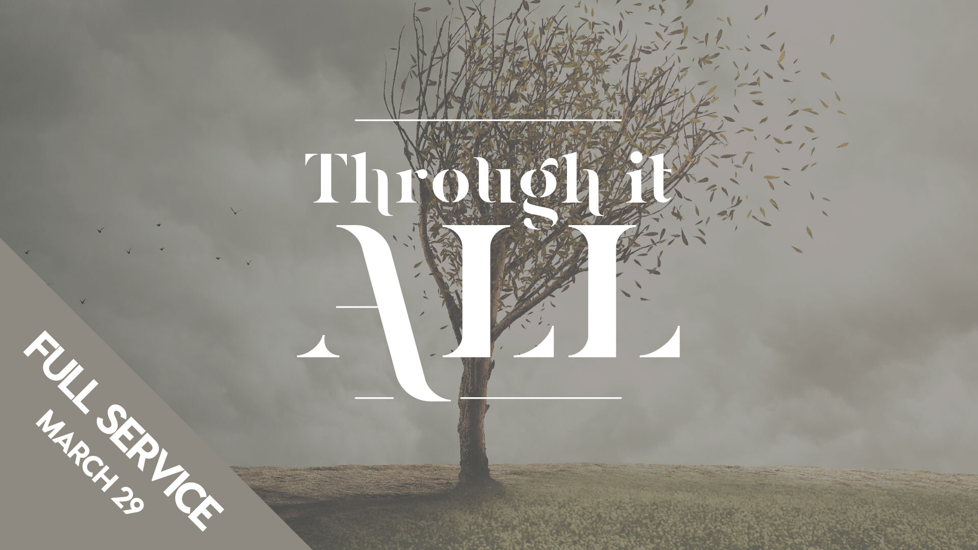 The Price of Complacency (Audio)