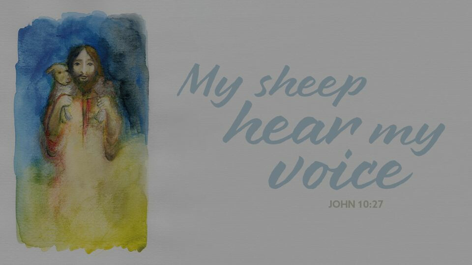 Watch May 11 Worship Video