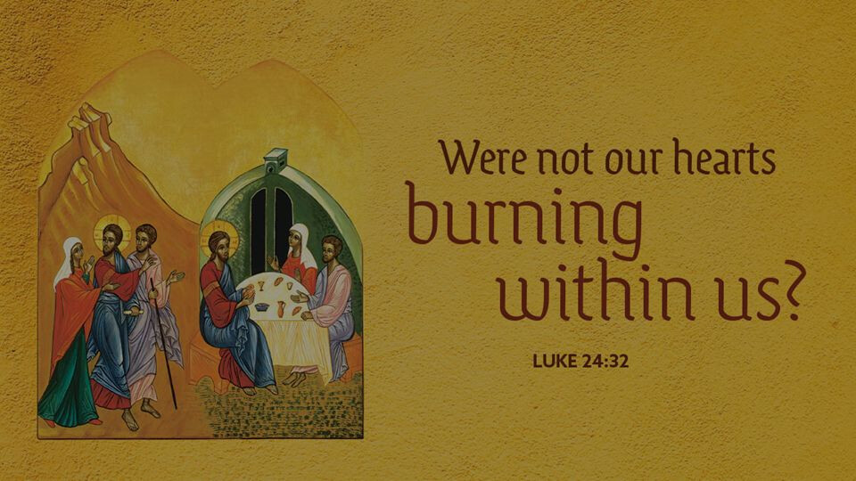 Watch April 19 Live Stream