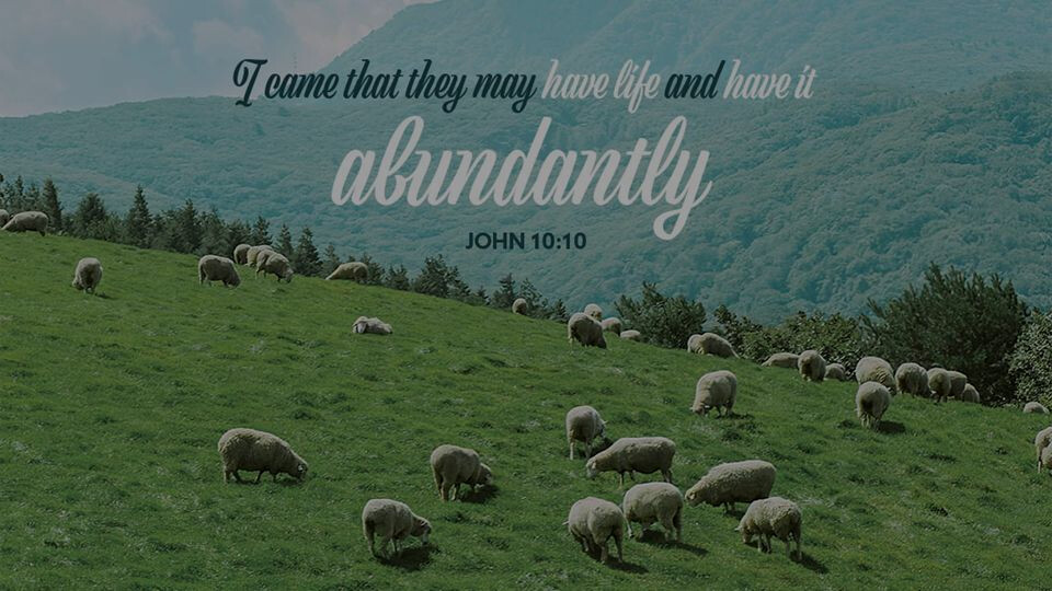 Watch April 26 Live Stream