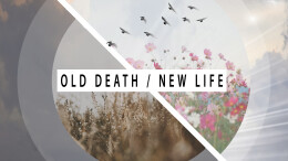 Old Death, New Life