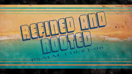 Refined and Rooted