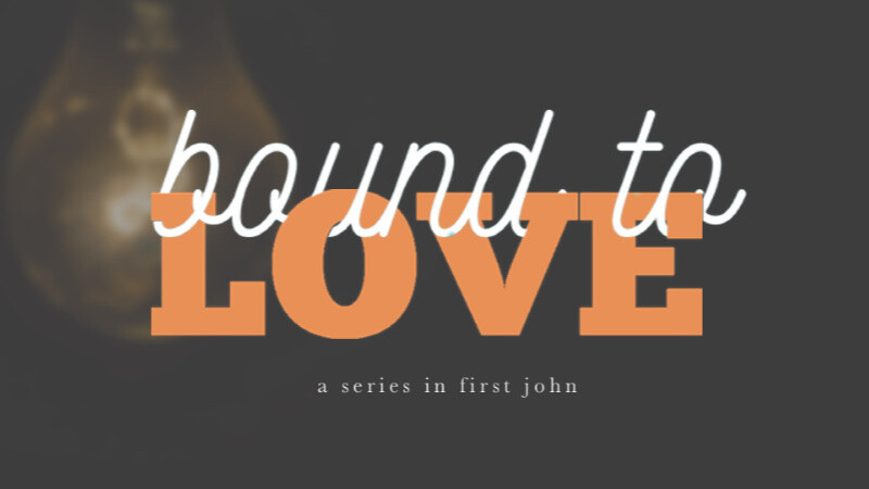 Bound to Love