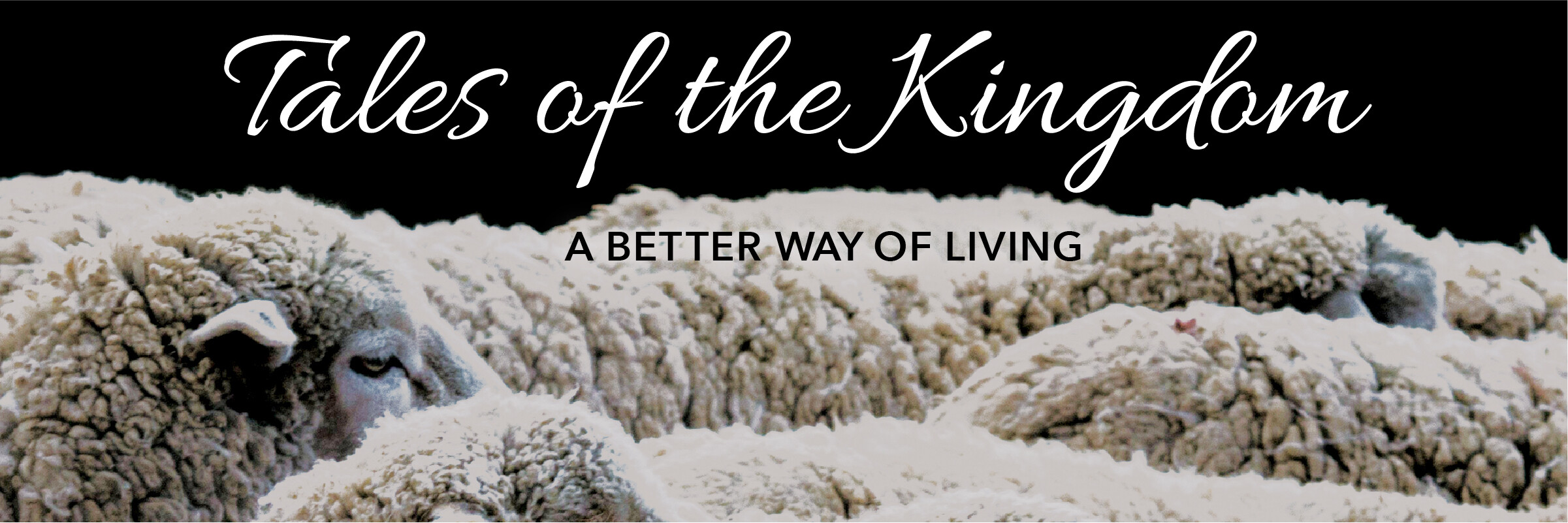 Tales of the Kingdom | Good Samaritan (Audio) episode artwork