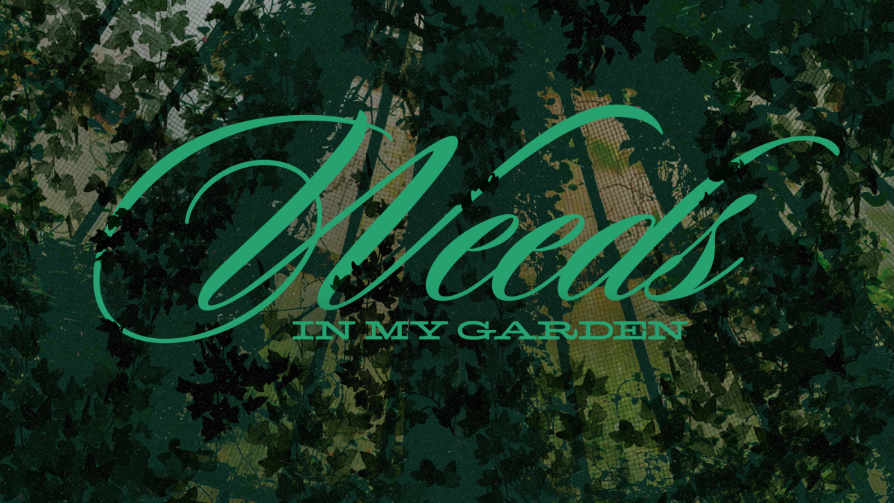 Series-Weeds In My Garden