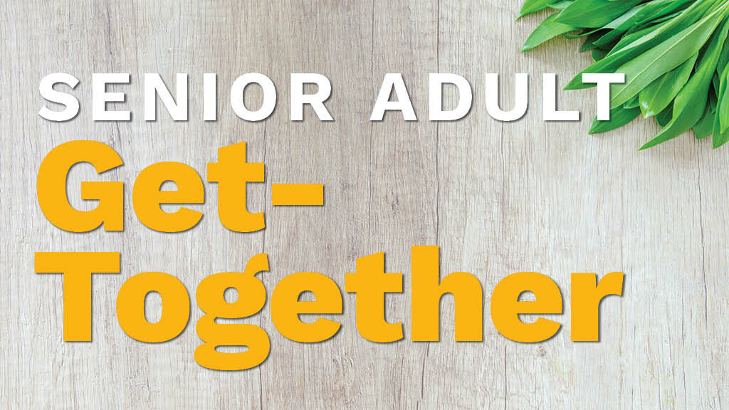 Senior Adult Get-Together 