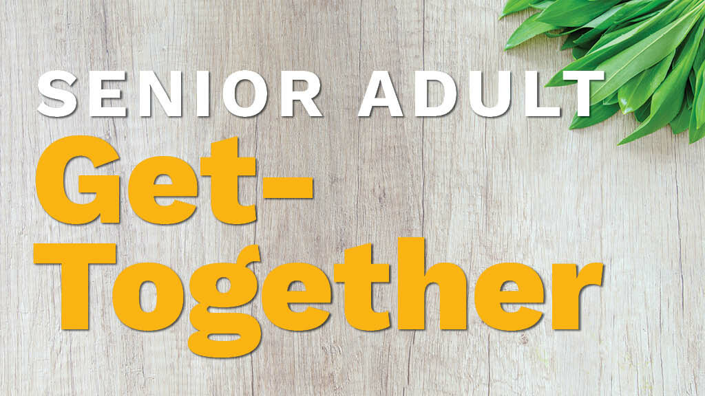 Senior Adult Get-Together