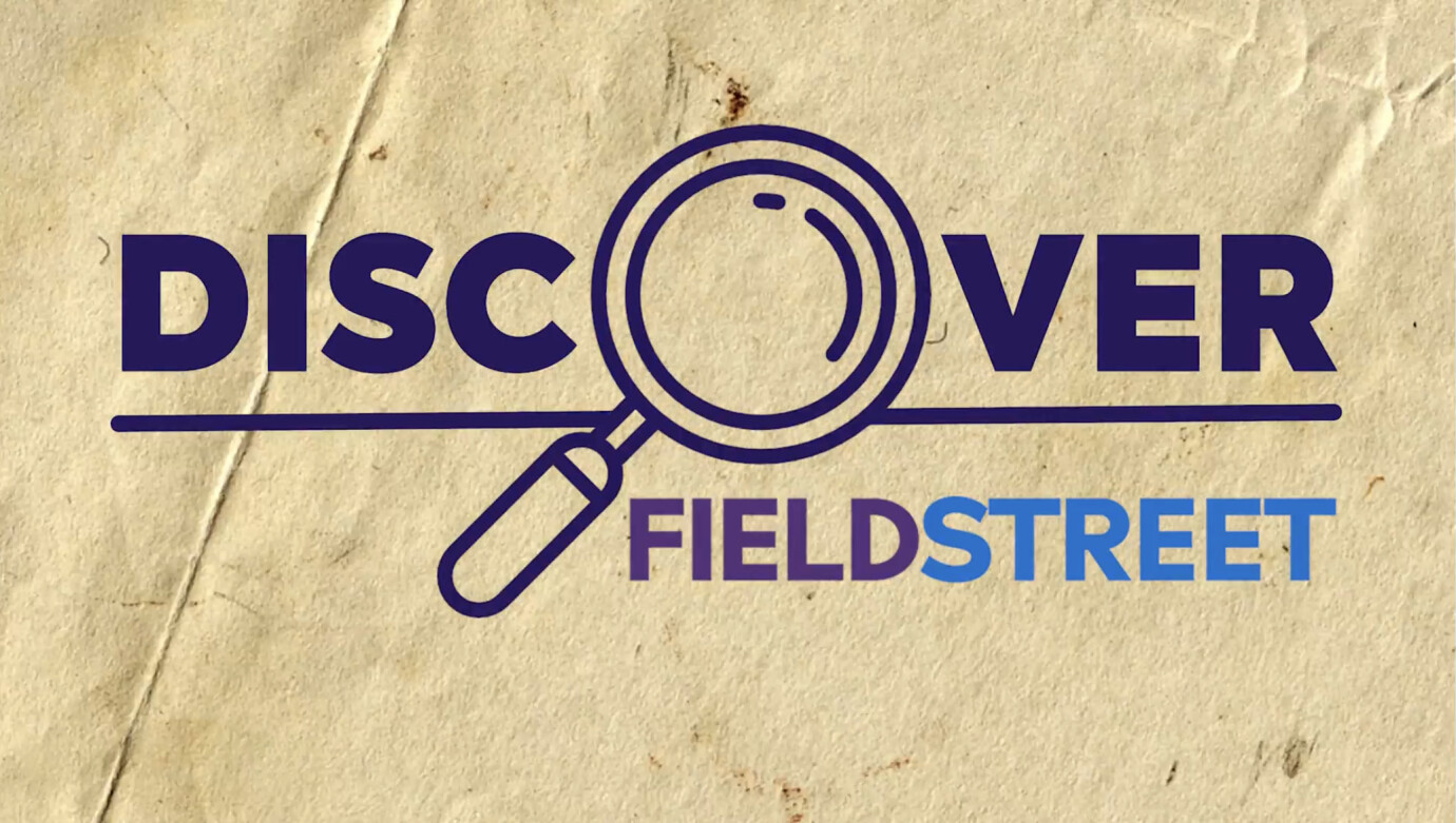 Discover Field Street