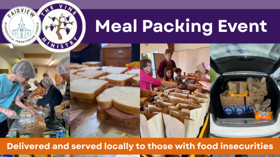 Vine Ministry Meal Packing