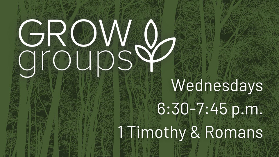 Adult Grow Groups