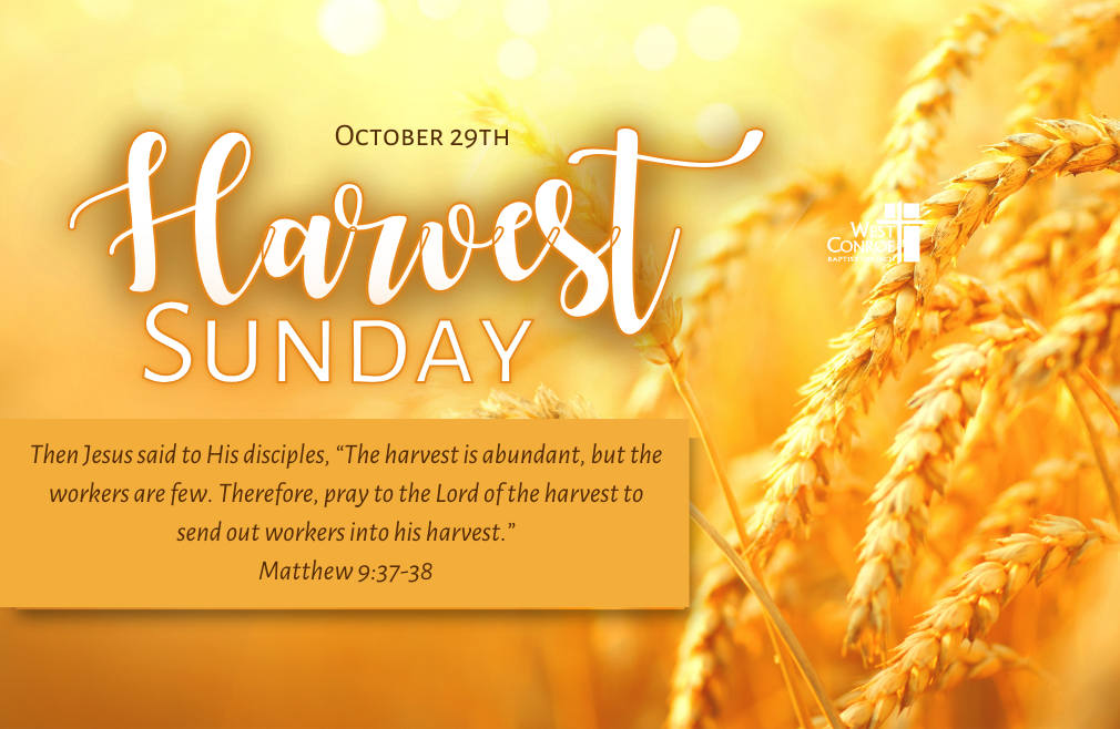 Harvest Sunday