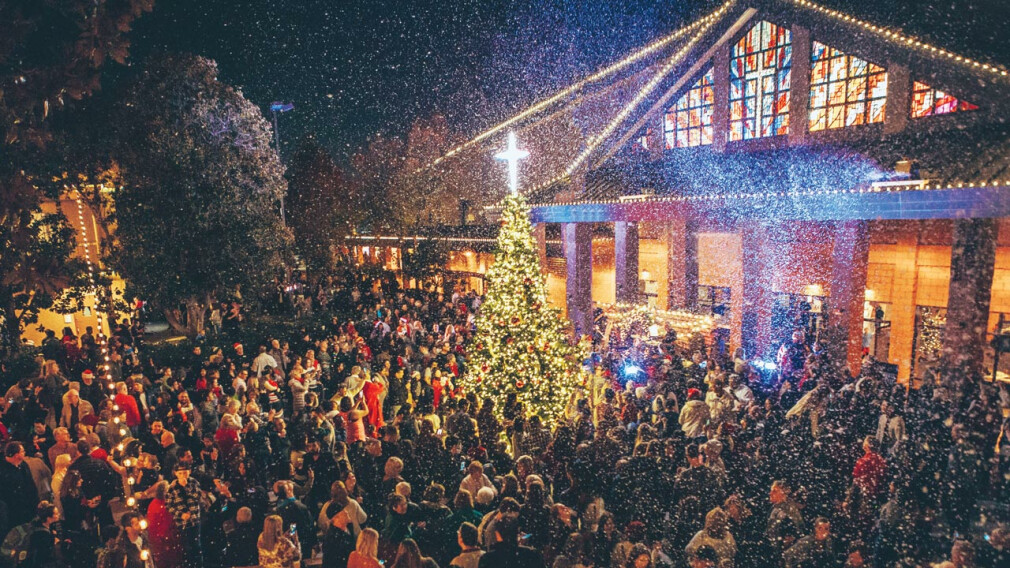 Christmas Tree Lighting