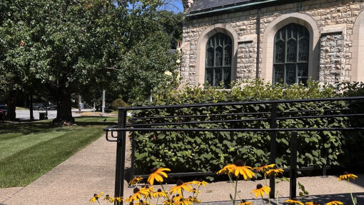 Wednesday Night Adult Classes This Fall