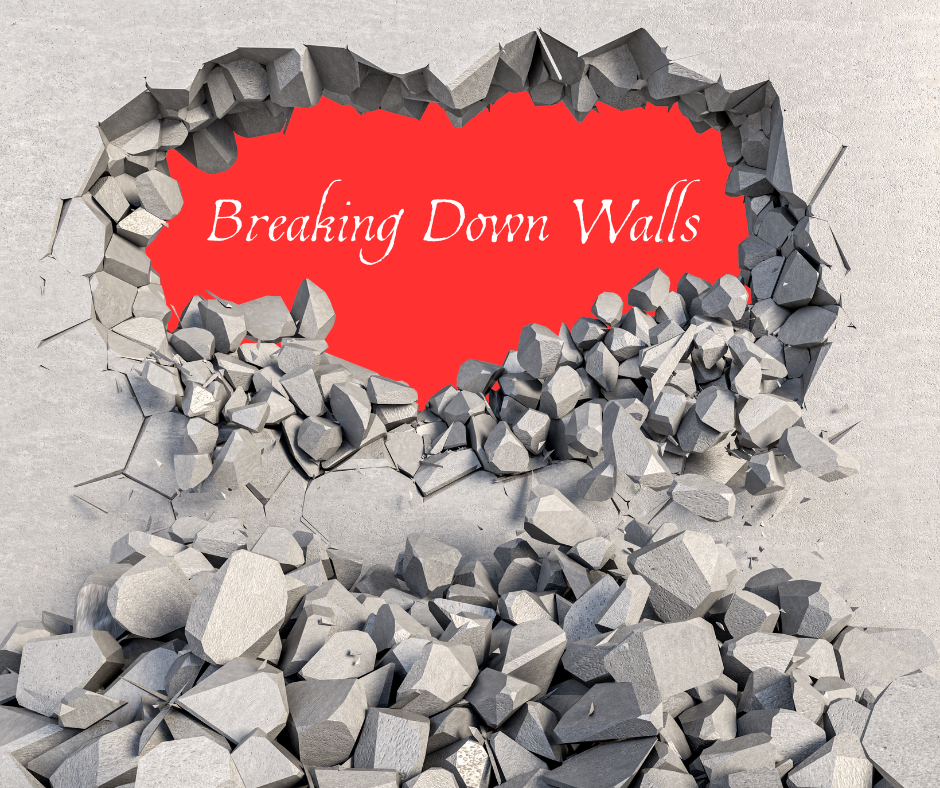 Breaking Down Walls: A Racial Justice Webinar