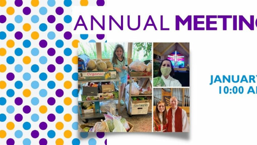 Information from Council for Annual Meeting