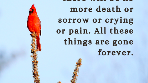 Thank You for Grieving with Us