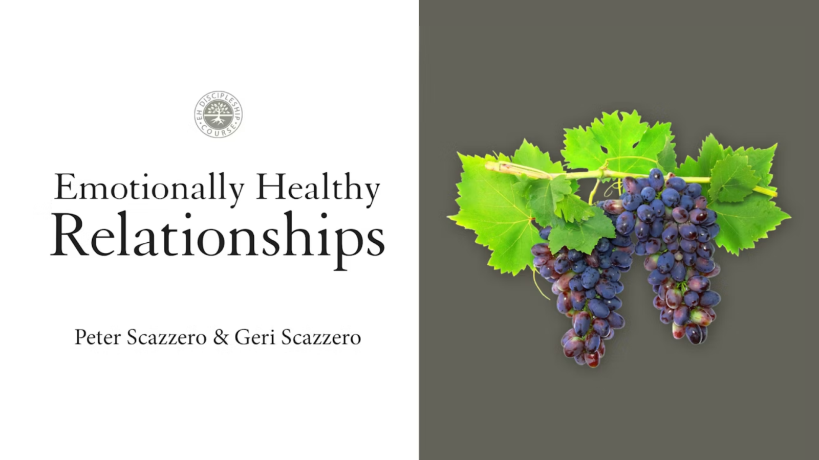 Emotionally Healthy Relationships Course