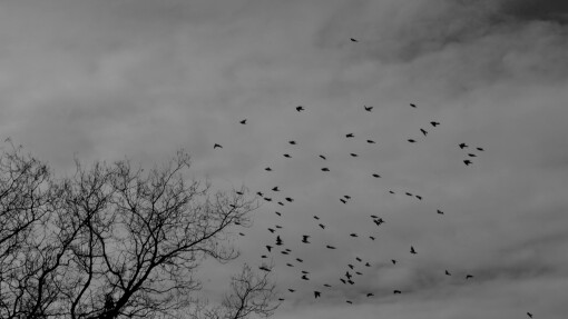 Does God Send Suffering?