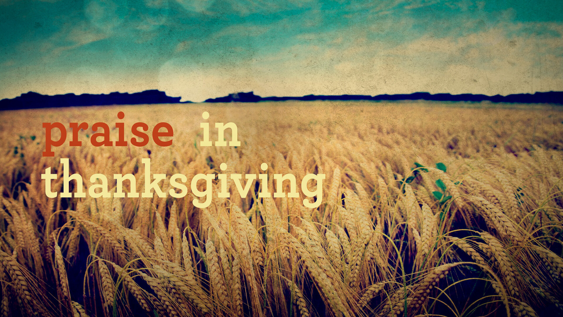 Praise In Thanksgiving