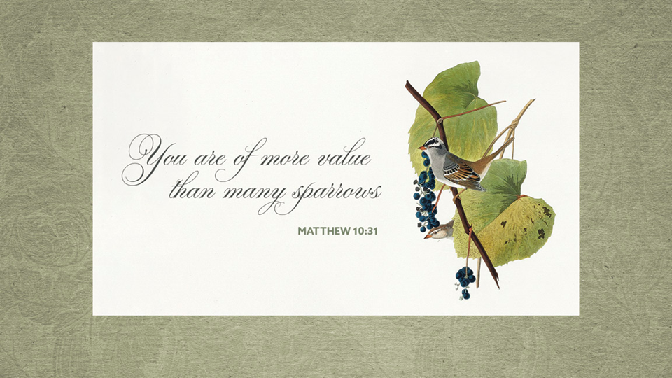 Live stream of Sunday morning Worship, June 21