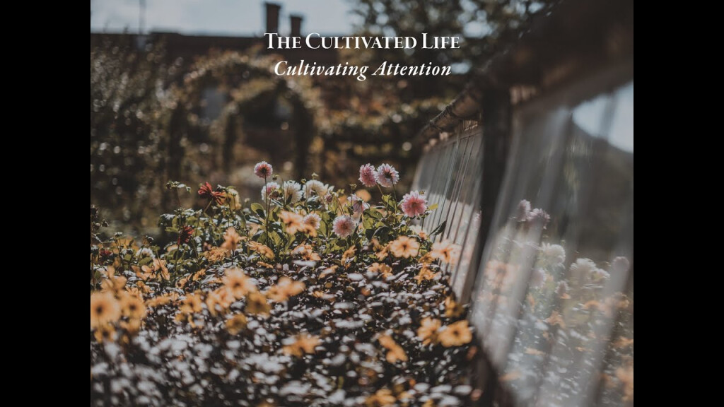 The Cultivated Life | Cultivating Attention