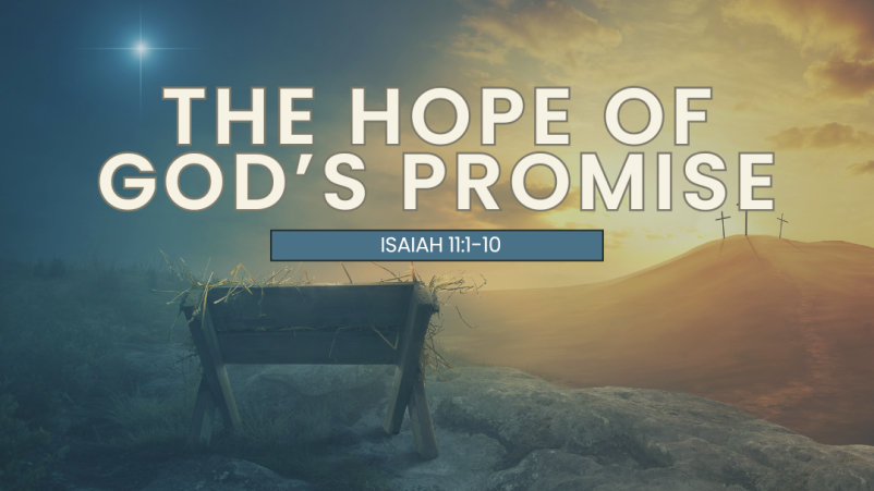 The Hope of God's Promise