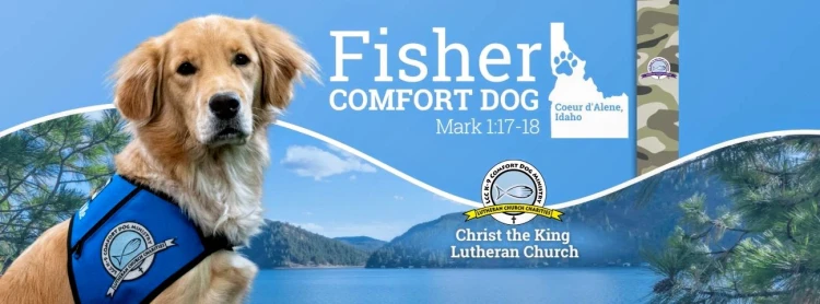Fisher Comfort Dog
