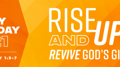 Laity Sunday 2021: Rise Up! And Revive God