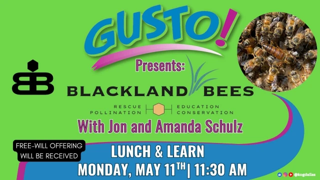 Blackland Bees Gusto