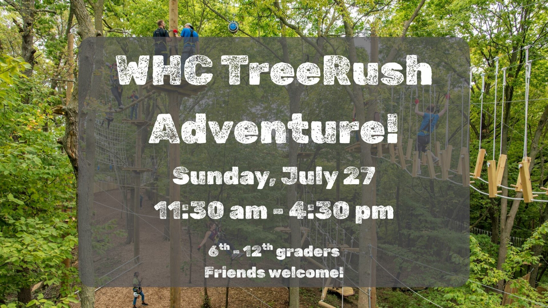 TreeRush Adventure 2025