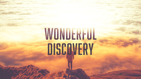 Have You Made the Wonderful Discovery 